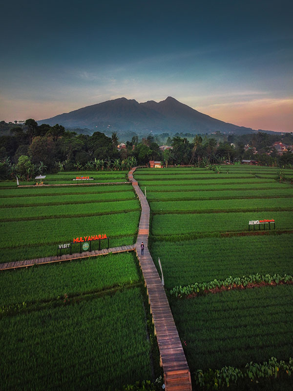 Bogor
