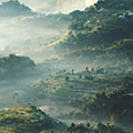 Bandung