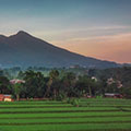 Bogor
